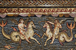Hipokampüs Mozaikleri Yumurtalık.png
