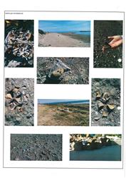 Sayfa_040_İskele Mhallesi Doğu Sahili Mevkii İskele Mahallesi Arkeolojik Alanı_3-3.jpg