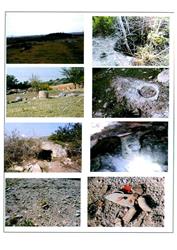 Sayfa_038_Haylazlı Köyü Arkeolojik Alan_9-9.jpg