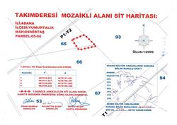 Sayfa_049_Demirtaş Mahallesi Takımderesi Mozaikli Alanı Sit Haritası_1-1.jpg